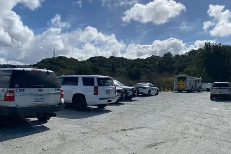 Madre fallece durante caminata con su hijo y grupo de Boy Scouts tras caída de árbol