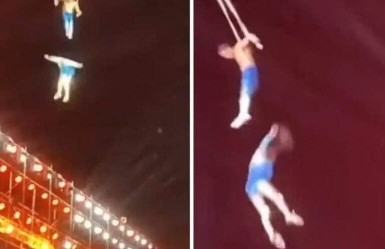 Trapecista murió en pleno show al caer de una altura de 9 metros