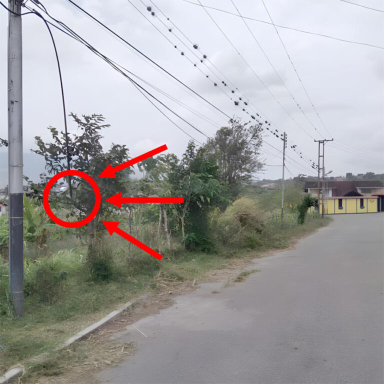 En Tucapé claman por arreglo de Cantv ante robo de cableado