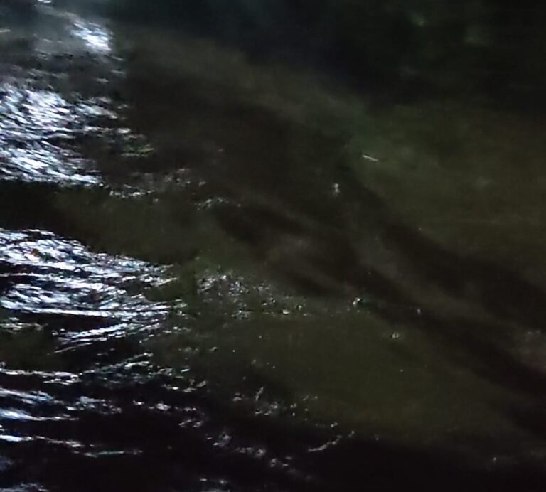 Reportan desaparición de menor tras caer en quebrada de la parroquia fronteriza Isaías Medina Angarita