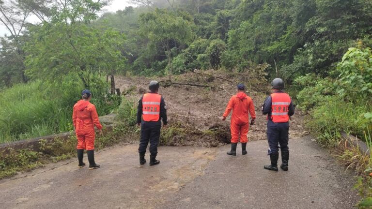 Setenta metros de material granular y rocoso bloquean la vía Ureña – El Vallado