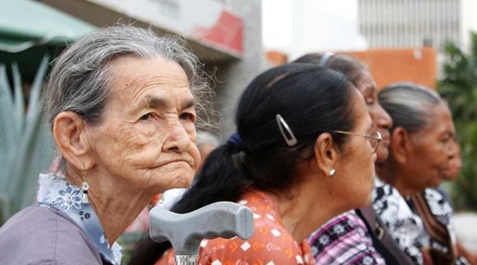 Sistema Patria paga bono a los adultos mayores no pensionados