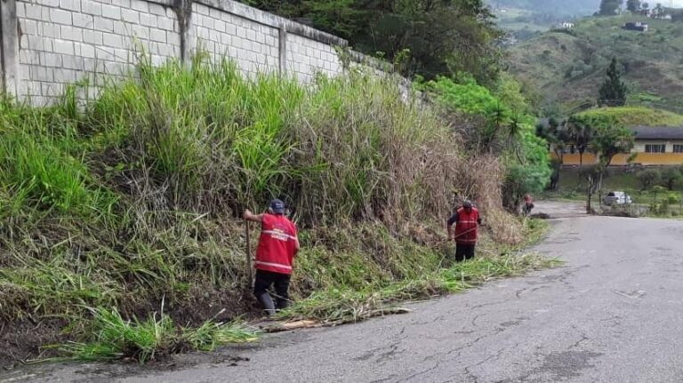 Alcaldía de Guásimos limpia drenajes en la vía La Victoria