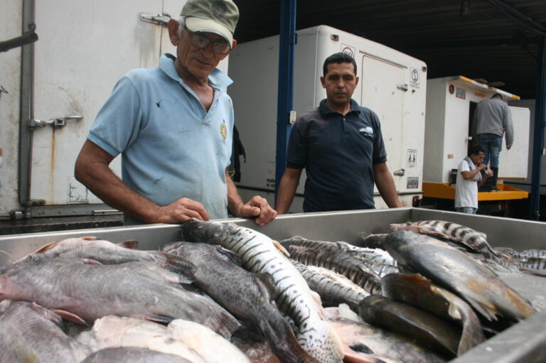 A la espera de buena clientela la pescadería de Madre Juana
