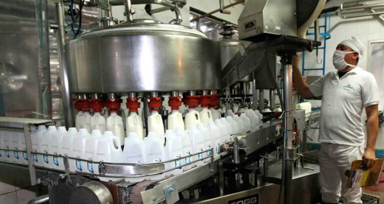 Consumo per cápita de leche en Venezuela está por debajo de lo recomendado por la OMS