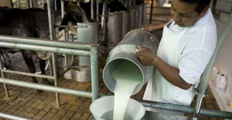 Las razones por la cuales la leche de Venezuela es la más cara del mundo