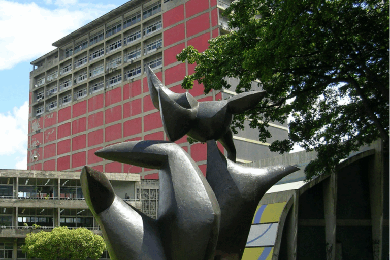 Elecciones en la UCV: ¿Qué cargos se eligen y quiénes pueden votar?