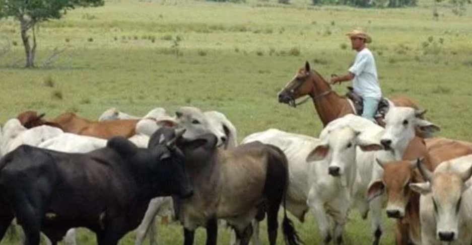 Fedenaga pide liberación de agricultores detenidos y explica la situación en los campos