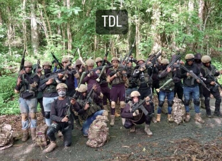 Cinco células del ‘Tren del Llano’ serguirían activas en el país