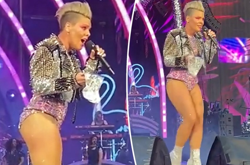 Pink no supo qué hacer cuando fanática lanzó las cenizas de su madre al escenario