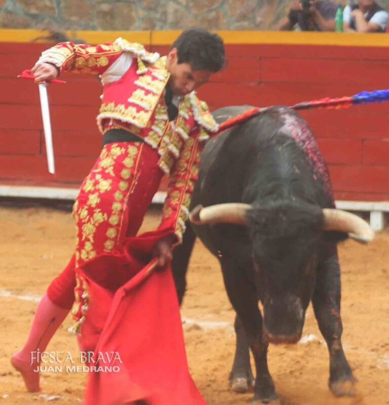 Fabio Castañeda va por el triunfo en El Vigía