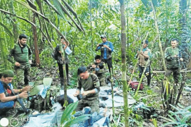 Las misteriosas fuerzas que habrían mantenido con vida a los cuatro niños perdidos en la selva