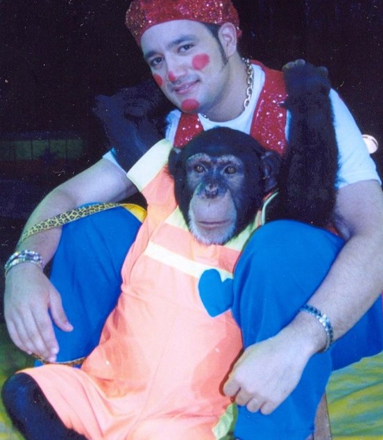 Chimpancé que perteneció al Circo Hermanos Gasca fue sacrificado en Colombia