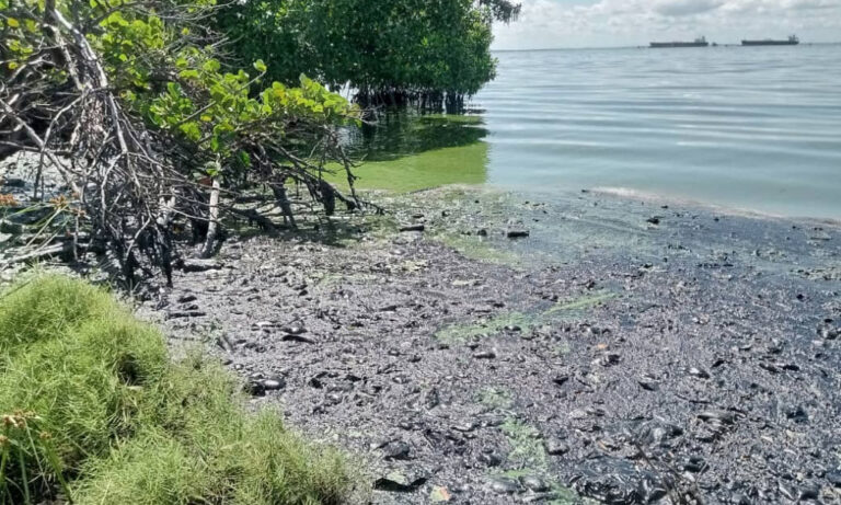 Denuncian que fugas en Bajo Grande acaban con vida marina del Lago
