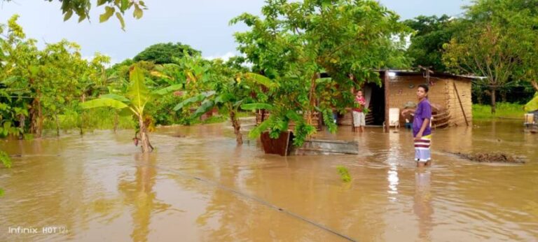 Lluvias en Aragua generaron anegaciones de viviendas