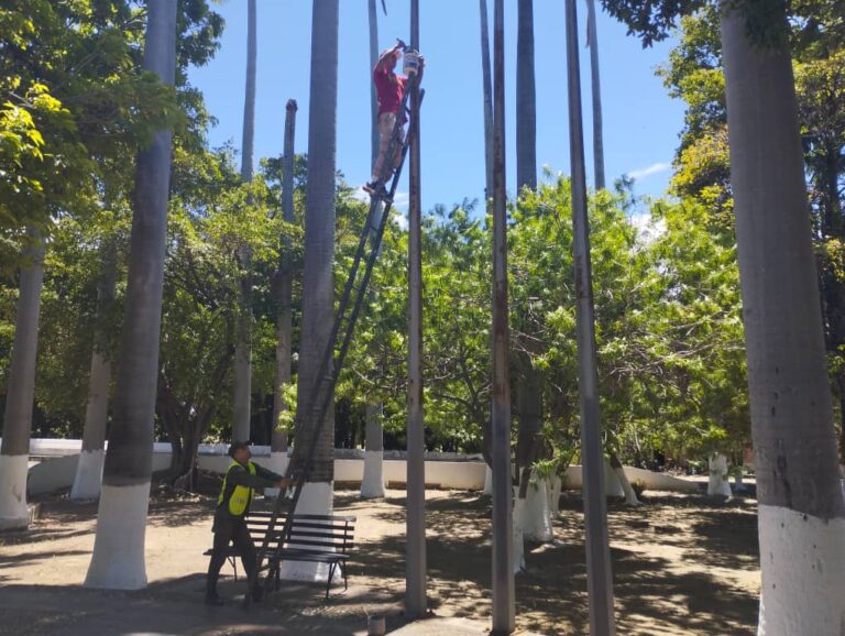 Plaza La Confraternidad recibe un “cariñito”