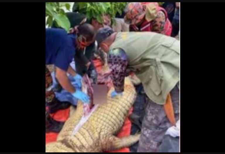 Tragedia en Costa Rica: Futbolista es devorado por un cocodrilo