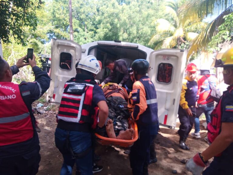 Estaba tumbando aguacates y recibió una descarga eléctrica