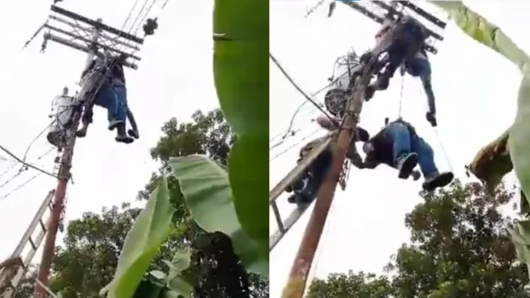Muere electrocutado un trabajador de Corpoelec en el estado Sucre