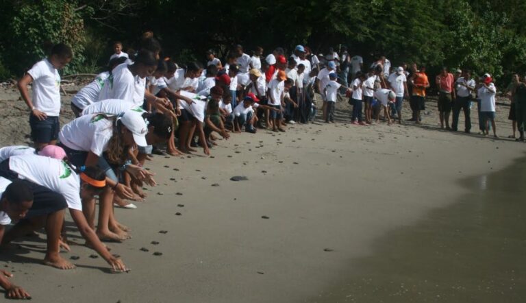 Bancamiga se une a los esfuerzos de conservación de las tortugas marinas en Paria