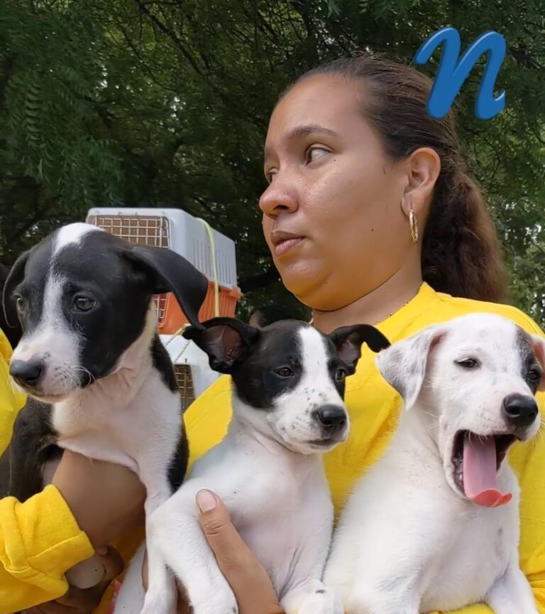 Siguen las jornadas de adopción de mascotas en San Antonio del Táchira