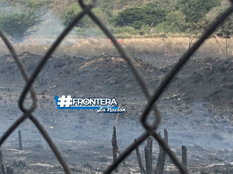 Incendio de vegetación en las cercanías a la pista del aeropuerto de San Antonio