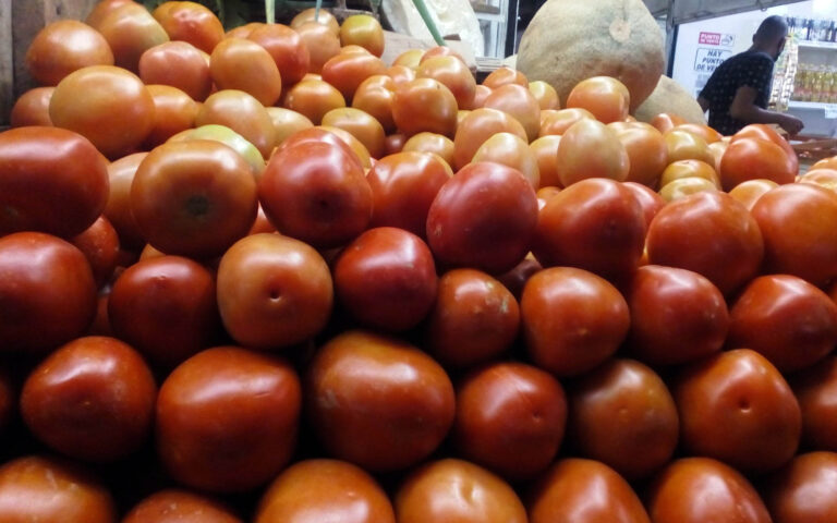 Precio del tomate equivale al valor de un kilo de pollo