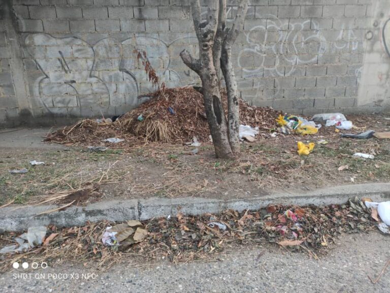 Escasez de agua y fallas en recolección de basura denuncian vecinos de Cabudare