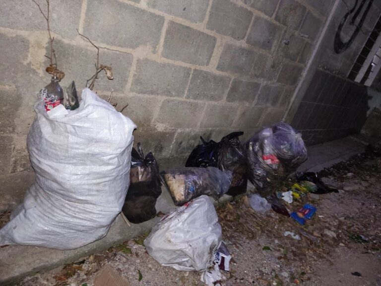 Barquisimeto | En el Barrio San Lorenzo tienen meses sin aseo domiciliario