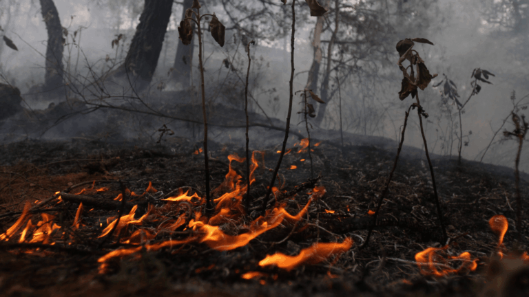 Registran el mes de septiembre con más focos de calor de los últimos 22 años