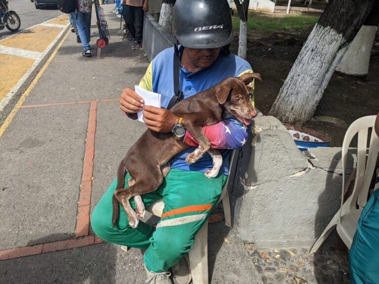 ¡Princesa ya tiene hogar!: Sigue jornada de adopción de mascotas en la frontera