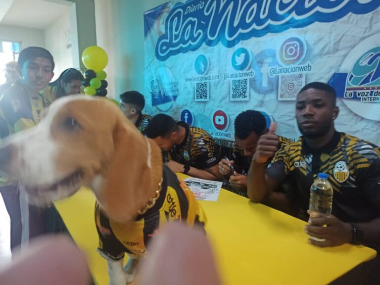 Cardenales de Lara y Leones del Caracas siguen la puja por el liderato en el torneo