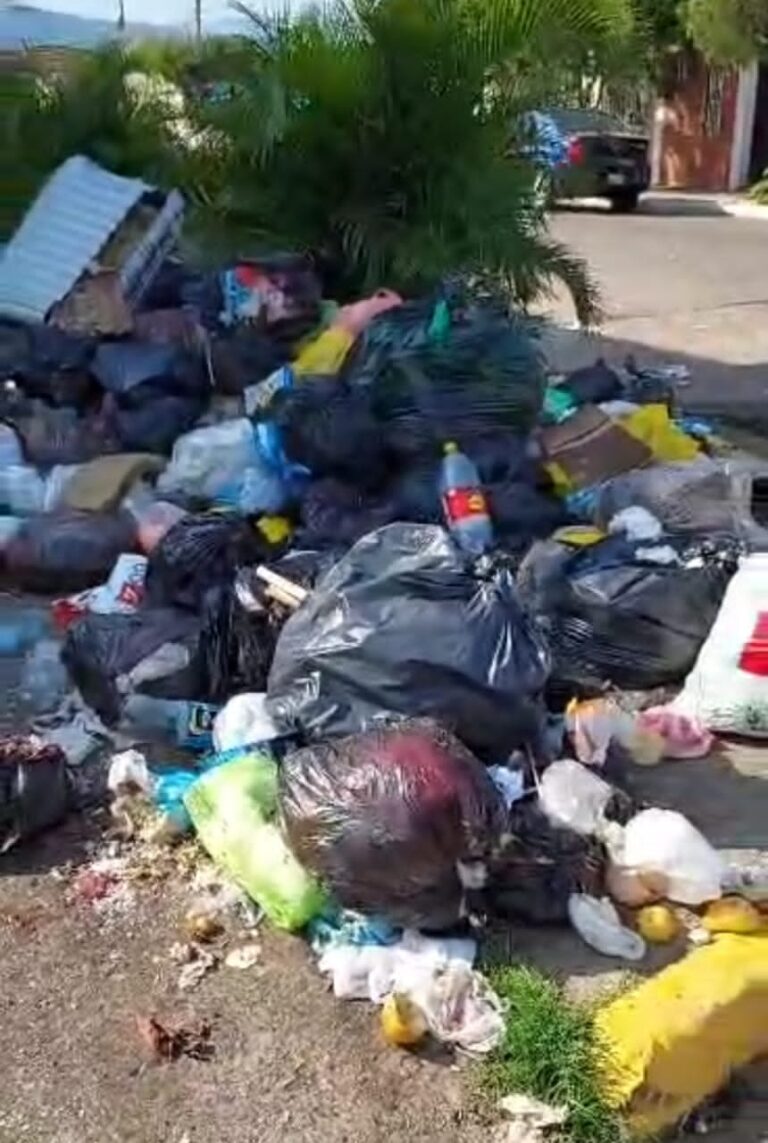 Urge plan para “mejorar” el servico del aseo urbano en San Antonio