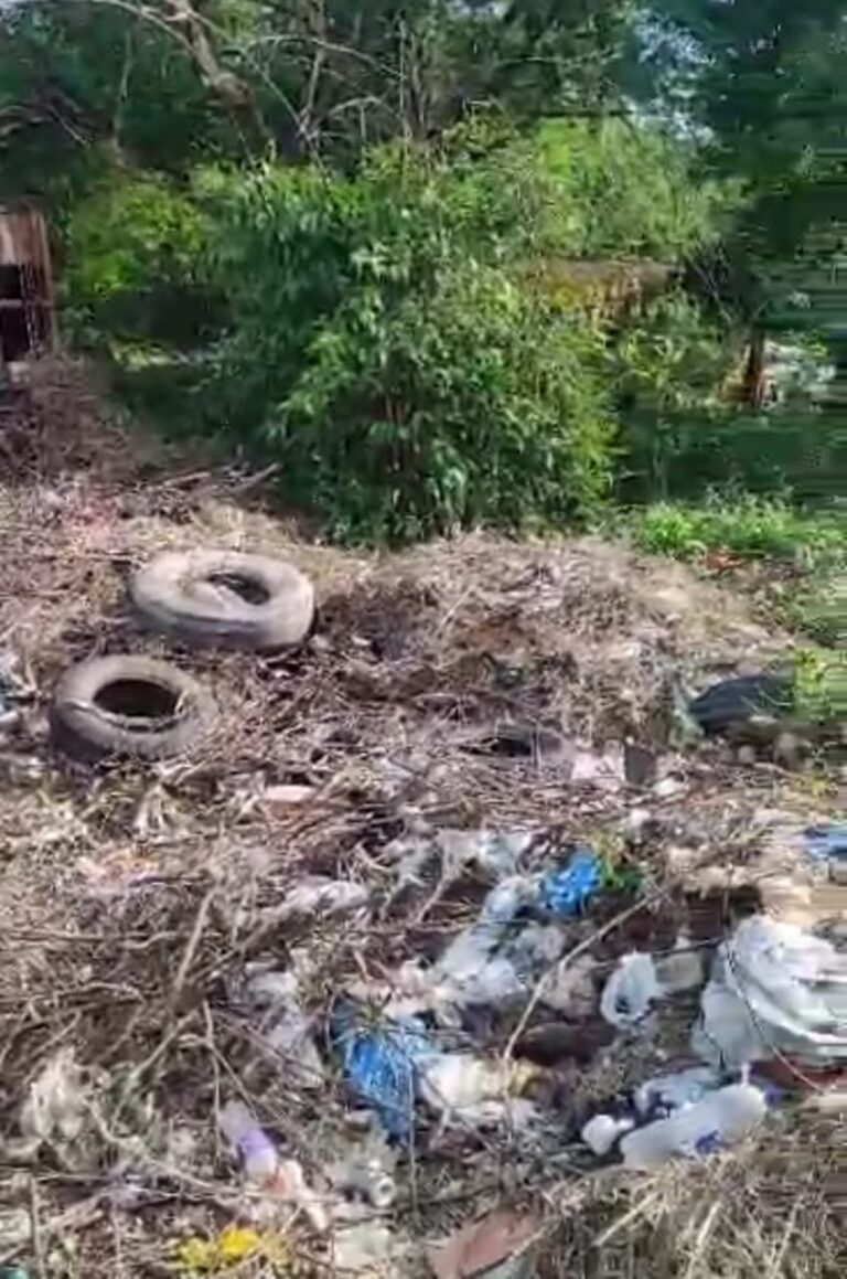 Sector fronterizo exige la eliminación de basurero improvisado