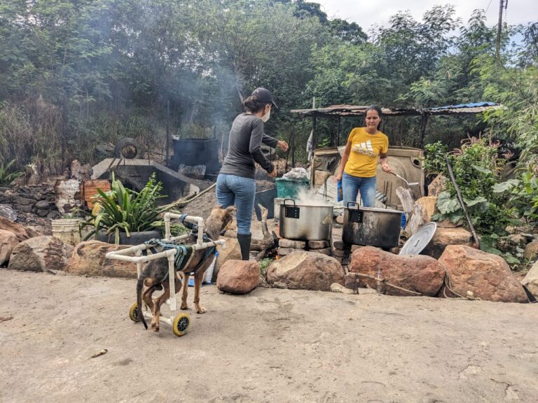 Un sancocho de fin de año para los peluditos del refugio de la frontera