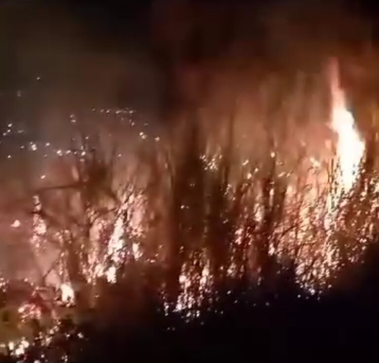 Incendio de vegetación en Cárdenas fue sofocado la noche de este domingo