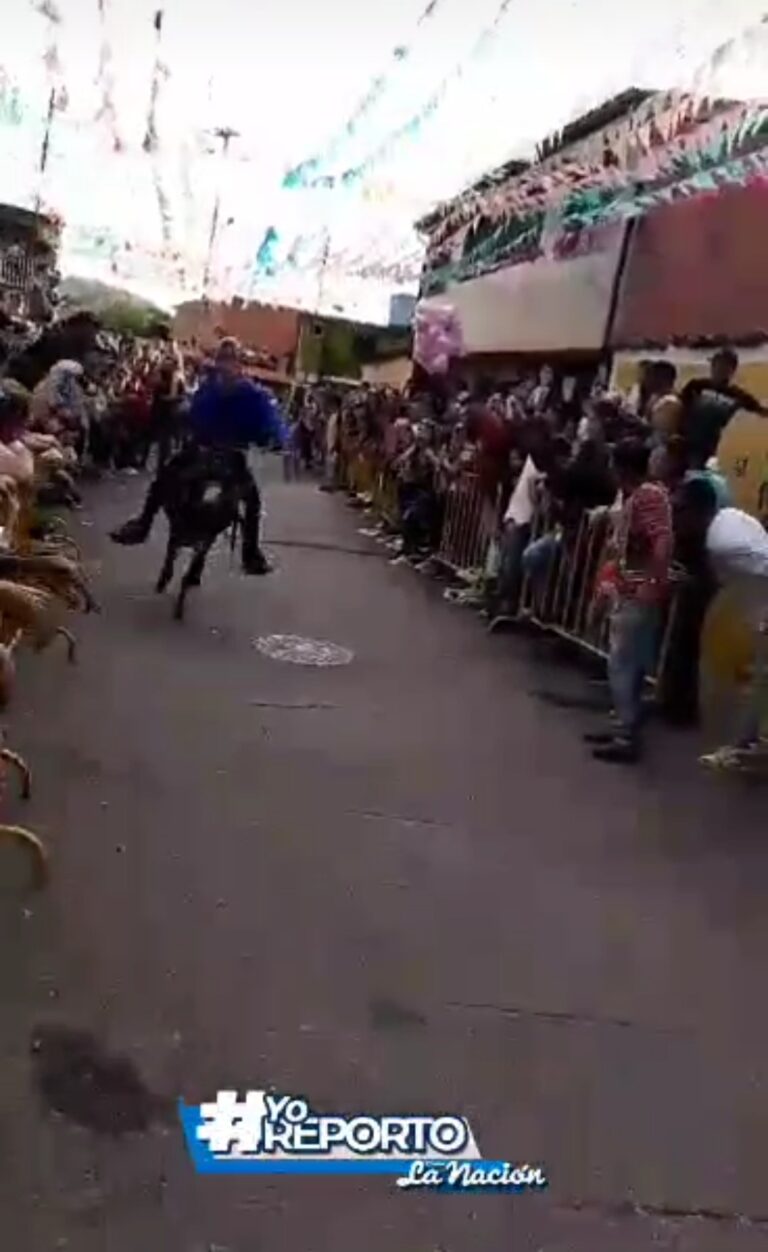 Sexta Carrera de Burro en Cordero