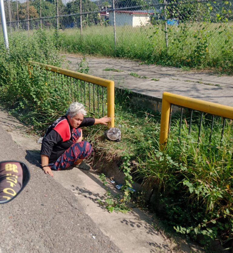 Reportan a ciudadana desorientada en la vía a El Palotal