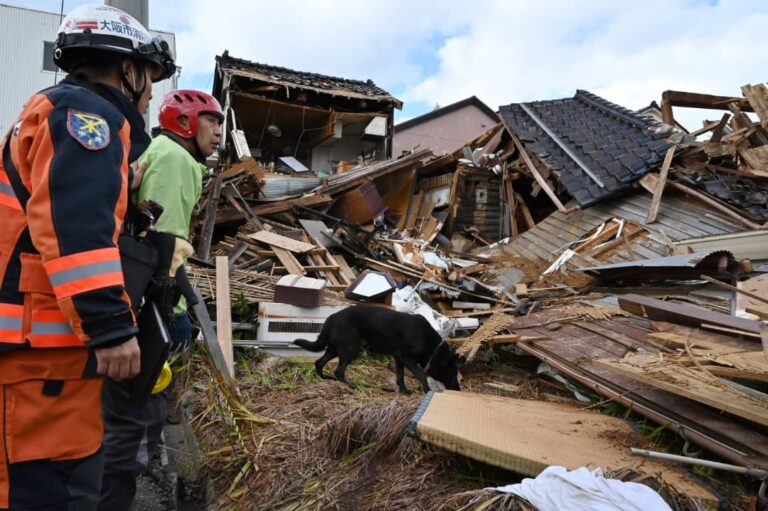 Un perro rescata a una anciana atrapada en una casa tras el sismo en Japón