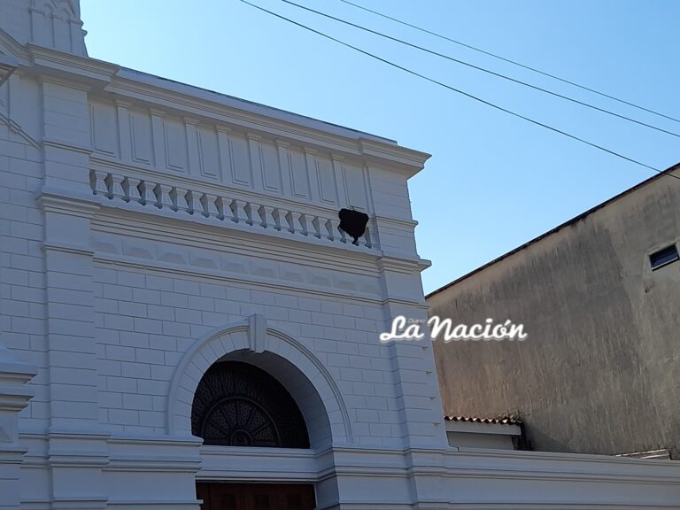 Enjambre de abejas en la fachada de la iglesia San Juan Bautista de Colón