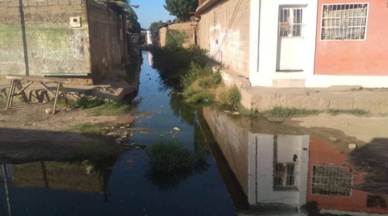 Falcón | Aguas servidas hacen estragos en la salud de vecinos de Coro