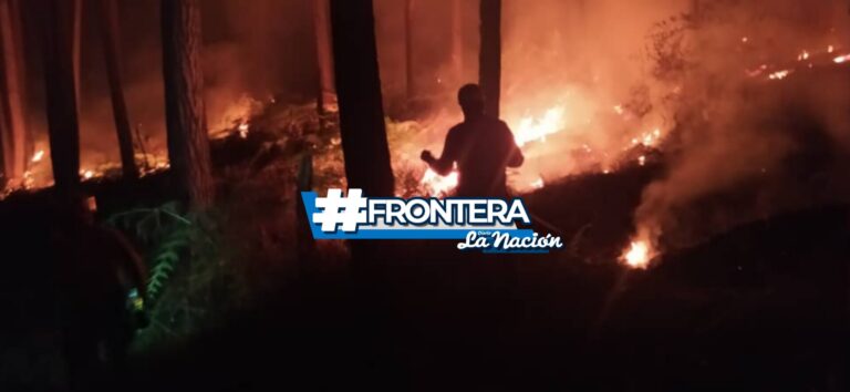 Incendio de grandes proporciones en reserva de pinos en Bramón
