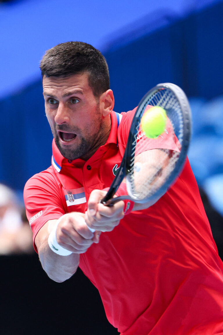 Novak Djokovic De Miñaur