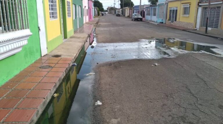 Falcón | Moscas, zancudos y gusanos invaden casas de Pueblo Nuevo en Coro