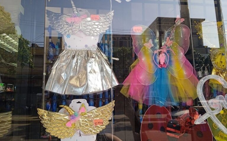 Lara | Padres en la búsqueda de disfraces para Carnaval