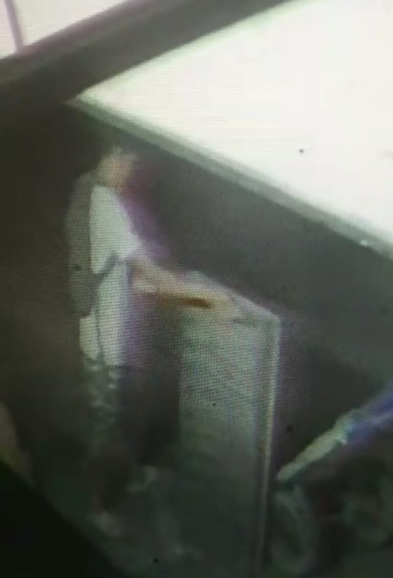 Hurtan rejilla de alcantarilla en San Antonio del Táchira