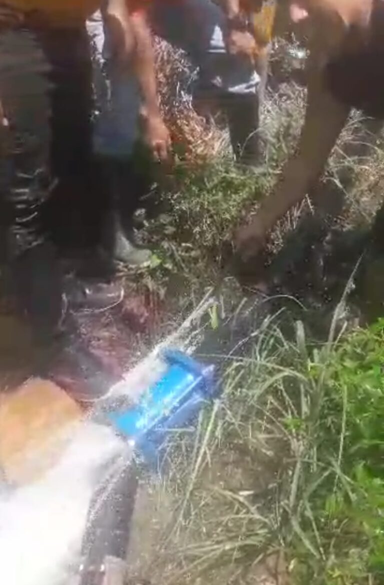 Bote de aguas blancas en San Antonio