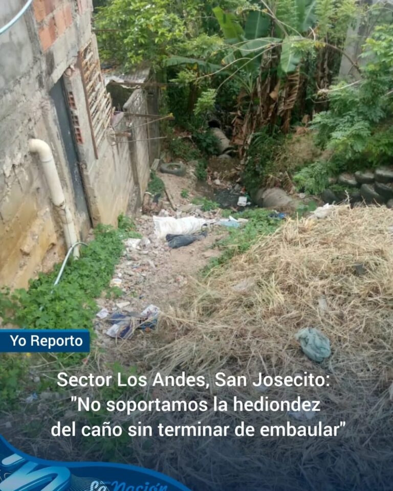 Sector Los Andes, San Josecito: “No soportamos la hediondez del caño”