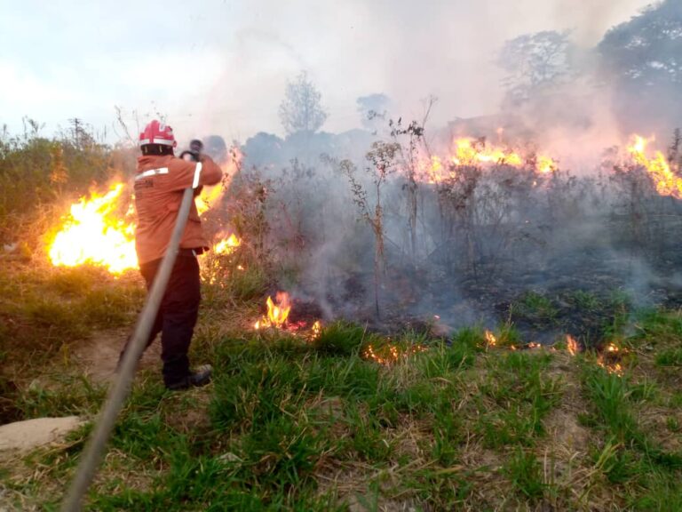 Más de 200 incendios de vegetación se han generado en la entidad