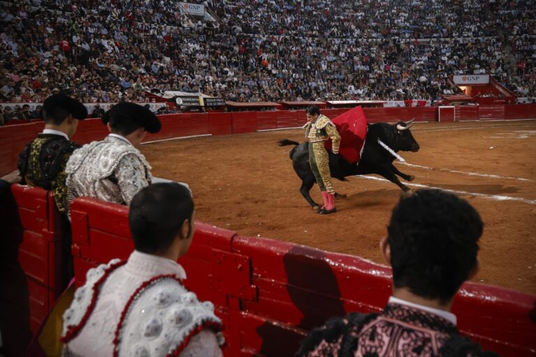 La Comisión Taurina de San Cristóbal selecciona los 7 Toros de Rancho Grande